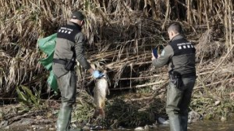 Catàstrofe ecològica al riu Besòs com a conseqüència de l'incendi de Montornès