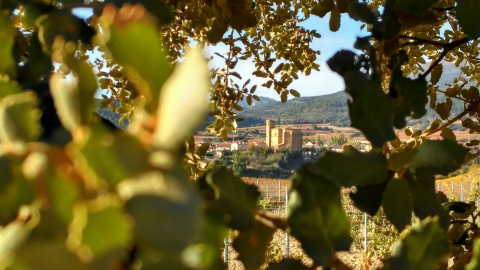 Imagen de archivo de Samaniego. AYUNTAMIENTO DE SAMANIEGO