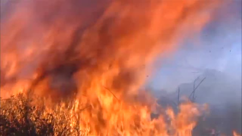 9.000 hectáreas carbonizadas en Huelva en el peor incendio del verano en España