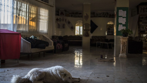 La mascota de la comuna descansa en el centro de formación para mujeres donde las residentes reciben cursos. JM LÓPEZ.