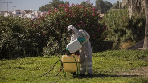 Un trabajador durante las labores de fumigación contra los mosquitos causantes del virus del Nilo en Coria del Río / María José López / EUROPA PRESS