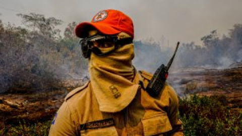 Incendios intencionados arrasan el Pantanal brasileño, una de las joyas naturales del planeta