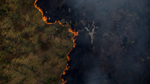 05/09/2020- Consecuencias de la devastación de la selva amazónica en el estado de Rondonia. BRUNO KELLY/ AMAZONIA REAL