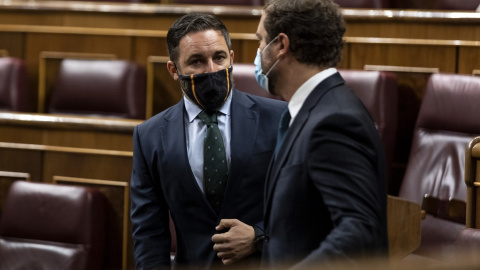 El presidente y el portavoz de Vox, Santiago Abascal e Iván Espinosa de los Monteros, charlan antes del inicio de una sesión plenaria en el Congreso. E.P./Pool