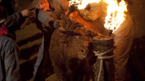 Un toro es embolado en la provincia de Castellón.- EFE