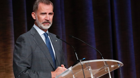 El rey Felipe VI durante su intervención en una inauguración del curso universitario 2020/2021. / Europa Press