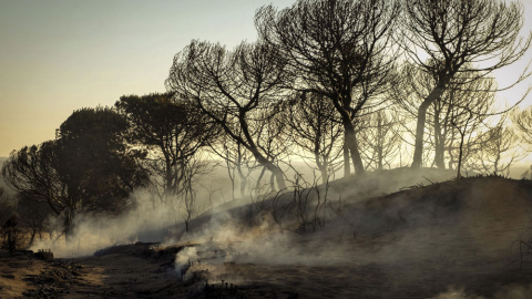 El paraje de la Cuesta de Maneli tras el incendio originado el sábado en Mazagon. EFE