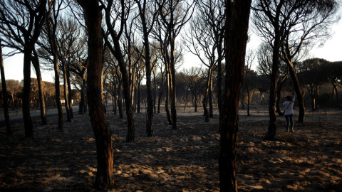 Un hombre toma fotos de la zona afectada por el fuego cerca de Doñana, en Matalascañas (Huelva). REUTERS/Jon Nazca