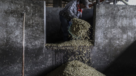 Un trabajador carga granos de café en una planta de procesamiento de café en Ciudad Bolívar, departamento de Antioquia, Colombia. (JOAQUIN SARMIENTO / AFP)