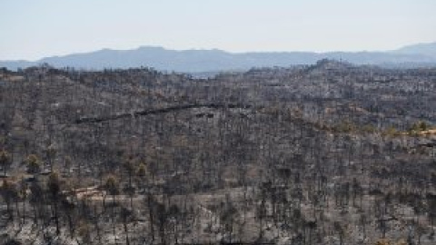 La pèrdua de la pagesia deixa Catalunya amb uns boscos sense tallafocs naturals i amb combustible forestal en excés