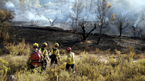 Uns bombers es dirigeixen a la zona calenta de l’incendi a Cervià de les Garrigues el 7 de setembre de 2019. Oriol Bosch | ACN