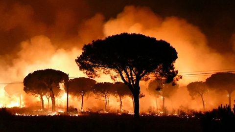 Incendio declarado en la noche del sábado en el paraje 'La Peñuela' de Moguer (Huelva) que ha entrado en el Espacio Natural de Doñana./EFE