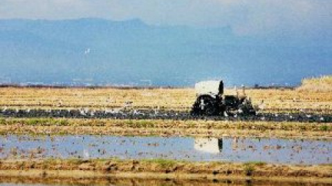 Les Terres del Ebre demanen ajuda a Europa per salvar el delta