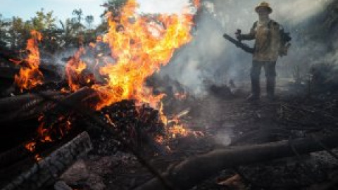 Los incendios vuelven a amenazar la Amazonía brasileña tras dispararse en julio