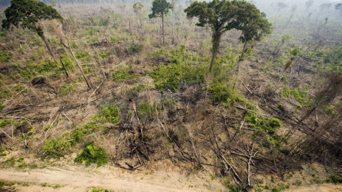 Vista aérea de una tala ilegal en el Bosque Nacional de Jamanxim , en el estado de Para, en la Amazonía brasileña. ANTONIO SCORZA (AFP)