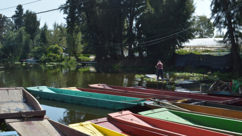 Imágenes de los canales que conectan las chinampas, en el municipio de Xochimilco, Ciudad de México.- ANA PORTELLA