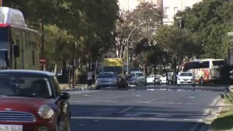 La Junta reconoce que uno de los 45 afectados por el virus del Nilo se localiza en Sevilla capital