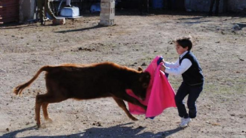 Un niño, en una clase en la Escuela Taurina Deportiva de Cehegín.