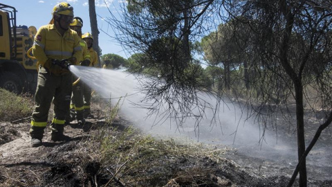 Efectivos del Infoca realizan labores de refresco tras el incendio forestal declarado el pasado sábado en el paraje "La Peñuela" de Moguer (Huelva), que ha afectado a una amplia superficie de masa forestal del entorno de Doñana e incluso parte del parq