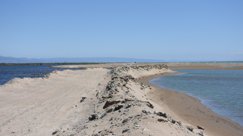 Delta del Ebro / Roser Royo