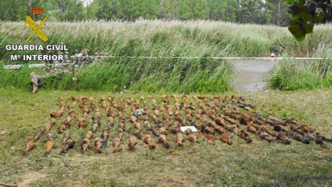 Arsenal de explosivos de la Guerra Civil hallado en el fondo del acuífero conocido como 'Los Ojos del río Jiloca' de Monreal del Campo (Teruel) /EUROPA PRESS