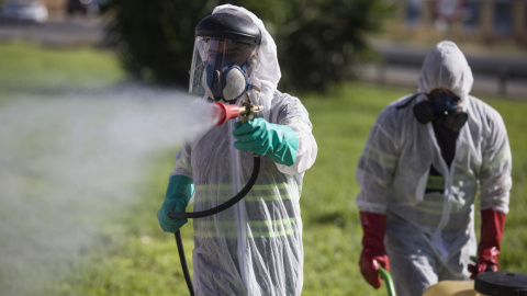 El Ayuntamiento de Castilleja de la Cuesta (Sevilla) realizó labores de fumigación como medida preventiva contra el mosquito causante de la transmisión del virus de la Fiebre del Nilo. /Archivo/ Europa Press