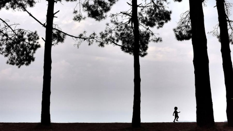 Un niño camina este lunes por el pinar del la playa de A Madalena, en el concello coruñés de Cabanas, en una jornada en la que Asturias, Castilla y León, Extremadura y Galicia están en alerta amarilla por lluvias que pueden acumular hasta 15 litros p