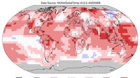 Temperatura terrestre y oceánica en agosto de 2020. / NOAA