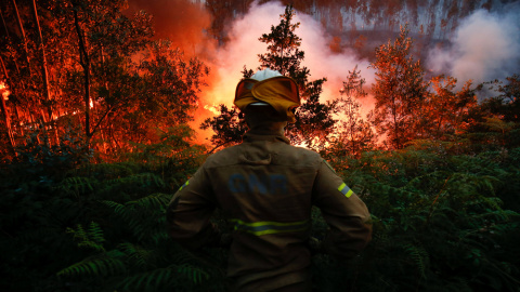 Un bombero, durante el incendio que arrasó el centro de Portugal a mediados de junio y que ha causado más de 60 víctimas. REUTERS