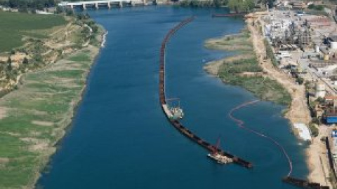 ¿Por qué los peces del Ebro comen y beben mercurio?