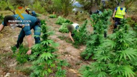 Los narcos albaneses siembran de marihuana los aledaños del mayor santuario del Opus Dei