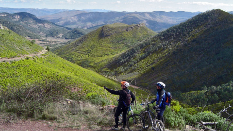 Con 31 rutas para todos los niveles y 19 caminos para la bicicleta de montaña, Castellón es la tierra donde se funden turismo y ciclismo.