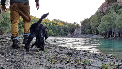 Los narcos albaneses se abastecían a través de embarcaciones, por el pantano de El Grado. Hay fiordos invisibles desde cualquier lugar habitado. / Ferran Barber