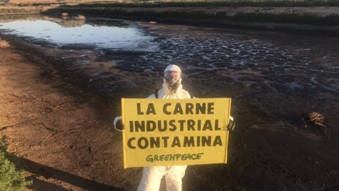 Activista de Greenpeace en la granja de Hellín (Albacete). / GREENPEACE