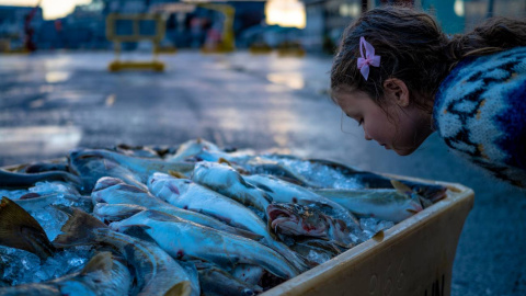 Según un estudio realizado por científicos islandeses, la percepción del olor a pescado depende de la variación o no del gen TAAR5. / Jón Gústafsson, deCODE Genetics - Amgen Inc.