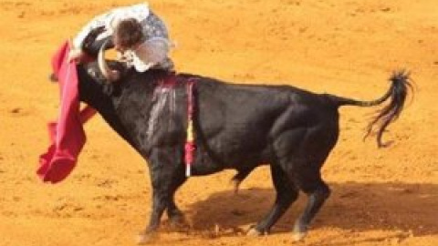 La ONU, partidaria de prohibir la entrada de menores en las corridas de toros