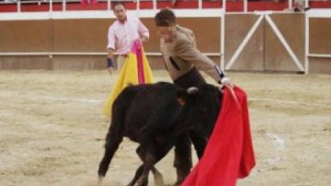 La ONU pide a España que prohíba la participación de niños en corridas de toros