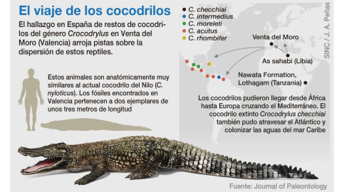 Mapa del viaje de los cocodrilos. / Journal of Paleontology