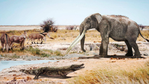 Un cocodrilo junto a un mastodonte del género Anancus y caballos primitivos del género Hipparion en un ambiente similar a lo que pudo ser Valencia hace seis millones de años. / José Antonio Peñas (SINC)