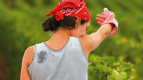 Mujer rural