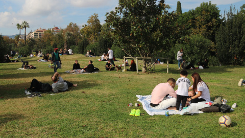 Grups de persones fent pícnics al Parc de la Ciutadella aquest diumenge. ACN