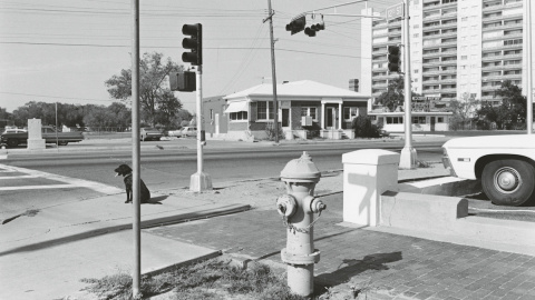 Lee Friedlander.- FUNDACIÓN MAPFRE