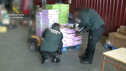 La Guardia Civil incauta 300 toneladas de alimentos y 39.000 libtros de bebidas. Guardia Civil