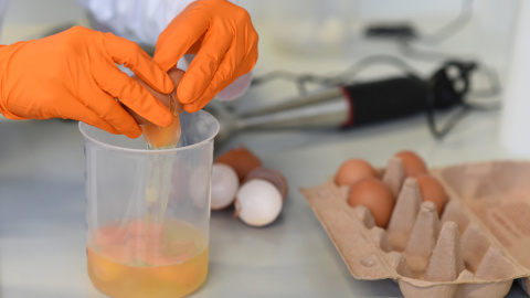 Pruebas con huevos en un laboratorio en Alemania. REUTERS/Andreas Gebert