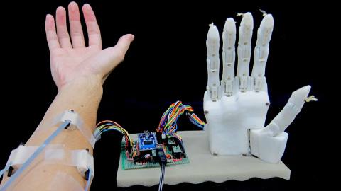 Imagen de la mano robótica.  [Furui et al., Sci. Robot.]