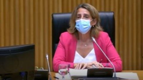 Teresa Ribera sobre los precios de la electricidad: "Aquí no se ha mostrado en absoluto ninguna empatía social"