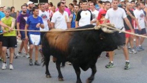 Ofensiva animalista per abolir els correbous a Catalunya