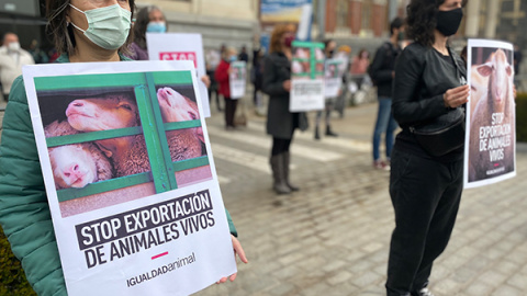 Protesta de Igualdad de Animal frente al ministerio de Agricultura.