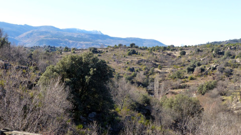 Vista de la zona donde se pretendía construir en Burgohondo | Ecologistas en Acción