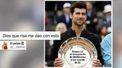 "Djokovic no jugará el Open de Australia ni el Roland Garros, pero siempre le quedará el Wii Sports"